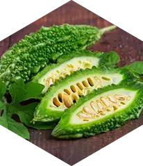 Bitter Melon ingredient