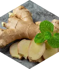 Ginger root ingredient